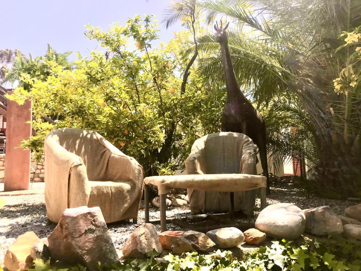 Mountain View Eco Lodge Montagu Exterior photo